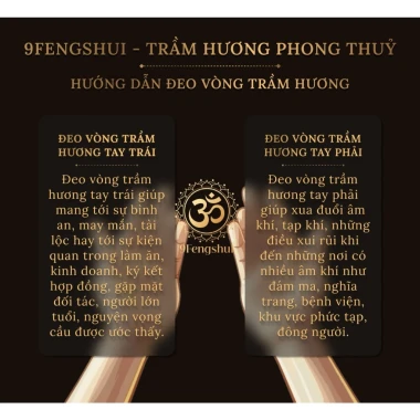 Vòng tay trầm hương_Vòng đơn_Hạt 6mm / 8mm_MIx charm Tỳ Hưu bạc mạ vàng, Hổ Phách Nga_9Fengshui 6 Vòng tay trầm hương_Vòng đơn_Hạt 6mm / 8mm_MIx charm Tỳ Hưu bạc mạ vàng, Hổ Phách Nga_9Fengshui 6