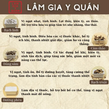 [Voucher giảm sâu 10.10]Trà bổ khí tăng cường thể lực, giảm mệt mỏi, cải thiện tiêu hóa gói 15g - Lâm gia y quán 4