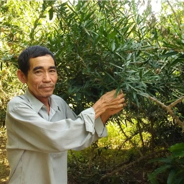Xáo Tam Phân Nguyên Rễ Khô Sạch Hòn Hèo Khánh Hòa - Giảm 183k còn 610k 3