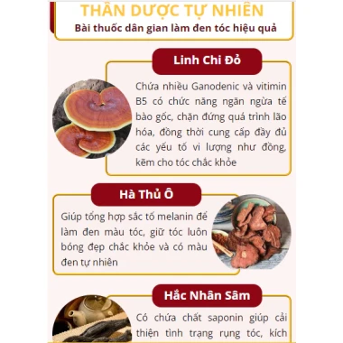 Xịt Đen Tóc Herbal Nấm Linh Chi - Serum Phủ Đen Tự Nhiên, Nuôi Dày, An Toàn 169k