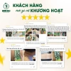 Xịt Xoa Bóp Khương Hoạt Hỗ Trợ Giảm Đau Nhức Mỏi Cơ Xương Khớp, Khu Phong Tán Hàn, Chiết Xuất Thảo Dược - Chai 50ml 6