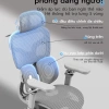 Xpanse T9 ghế công thái học ghế gaming đệm lưng kép 4 lò xo, lưới du pont ghế xoay văn phòng ghế làm việc 2