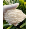 Yến Tinh Chế Yến Sào Đình Thảo 1kg - Tinh khiết, giàu dinh dưỡng, giảm còn 1.860.000 3