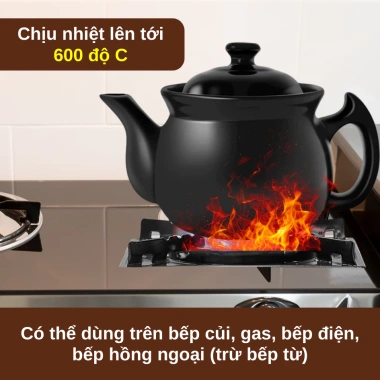 Ấm Sắc Thuốc Bắc 2L Đất Đen Nung Cao Cấp - Giảm 20% Còn 220k 4