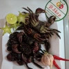 Ba Khía Nguyên Con Cà Mau 1kg Giá Rẻ - Mua Sắm Tận Hưởng FREESHIP 99K Toàn Quốc Chỉ 250k
