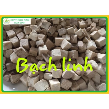 Bạch linh 500g loại đẹp cỡ vừa - Tươi ngon, sạch, giá ưu đãi 118.000₫