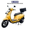 Baga Xe Điện VinFast Evo 200 & Evo Neo - Gắn Tựa Lưng, Gắn Thùng, Giá chỉ 450.000đ 8