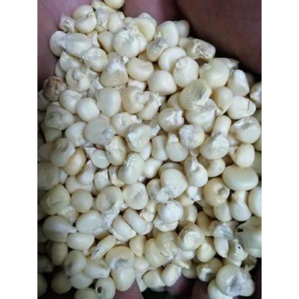 Trải nghiệm 5 công thức sáng tạo dùng bắp nếp khô nguyên hạt loại 1 trong bữa ăn gia đình