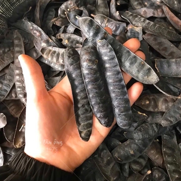Hình ảnh sản phẩm Bồ kết khô 1kg, trái bồ kết, thơm, sạch, dùng gội đầu, xông nhà, thanh lọc không khí - Tiệm lãn ông