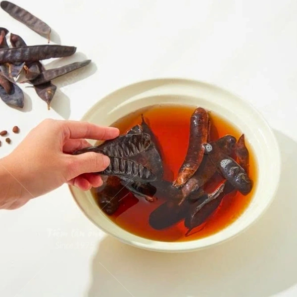 Công dụng đa năng của bồ kết khô trong chăm sóc tóc và không gian sống