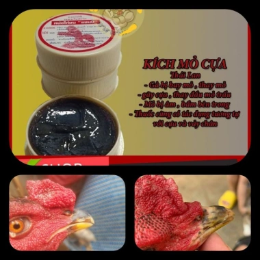 Bôi Kích Nhanh Ra Mỏ Gà Gãy Mỏ Hụt Mỏ Bay Mỏ Giá 50k