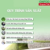 Bột matcha trà xanh nguyên chất sấy lạnh ONFOD giảm cân làm đẹp da chống lão hóa hộp 50g 20 gói x 2.5g 6