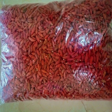 Cẩu kỉ tử giảm cân đốt mỡ tự nhiên, giữ thanh xuân chỉ 120.000 VND