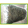 Cây bán chi liền khô sạch 1kg - Giá ưu đãi 95.000, giảm 22%, chất lượng cao 2