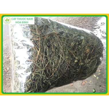 Cây bán chi liền khô sạch 1kg - Giá ưu đãi 95.000, giảm 22%, chất lượng cao 2