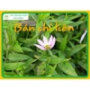 Cây bán chi liền khô sạch 1kg - Giá ưu đãi 95.000, giảm 22%, chất lượng cao 3