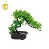 Cây cảnh nhân tạo thực tế - Trang trí sân vườn, bàn làm việc, trang trại trong nhà, giảm giá 22% chỉ 133.100₫