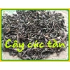 Cây Cúc Tần Khô Thơm Sạch 1kg (Phơi Nắng) - Tinh Khiết, Giá Ưu Đãi 24,000đ