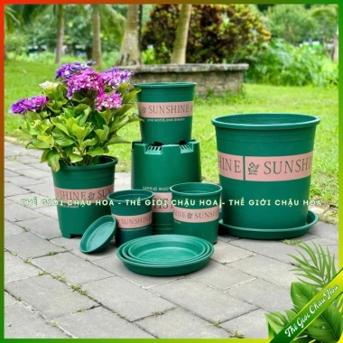 Chậu nhựa SUNSHINE đựng hoa hồng, cây mini - Để bàn, Treo ban công, Giá tốt 19k