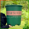 Chậu nhựa SUNSHINE đựng hoa hồng, cây mini - Để bàn, Treo ban công, Giá tốt 19k 3