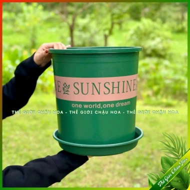 Chậu nhựa SUNSHINE đựng hoa hồng, cây mini - Để bàn, Treo ban công, Giá tốt 19k