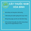 Chè dây khô sạch 100g Giá buôn chỉ 9.000đ tươi mới an toàn chất lượng cao 4