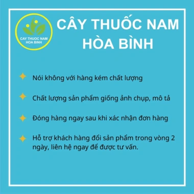 Chè dây khô sạch 100g Giá buôn chỉ 9.000đ tươi mới an toàn chất lượng cao