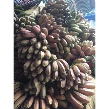 Chuối hột rừng 200g - Phơi khô tự nhiên, sạch thơm, mới, giảm còn 18.000đ 4