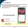Cổ Sapa Hoa Hồng Dễ Tính Sai Hoa Quanh Năm - Giảm 15% Chỉ 56900Đ 4