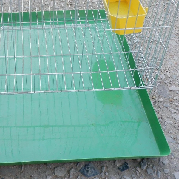 Cách chọn khay huấn luyện vệ sinh cho chó phù hợp với không gian nhà bạn