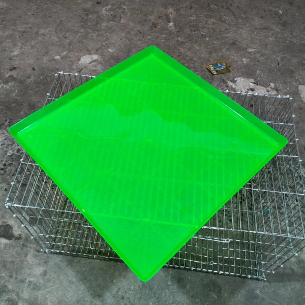 Trải nghiệm thực tế với combo 5 khay đựng phân cho chim: tiện lợi và bền bỉ