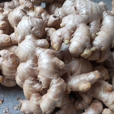 Củ Gừng Ta Tươi Mới - Giảm Giá Cực Sâu Chỉ 20.000Đ/Kg Thay 24.200Đ