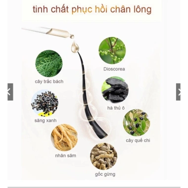 Dầu Gội Kích Mọc Tóc QIWEITANG – Dầu Gội QWEITANG Nhân Sâm Giảm Rụng, Kích Mọc Tóc Đen, Chắc Khỏe Từ Gốc 350ml