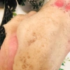 Dầu gội nhuộm tóc phủ bạc hữu cơ Root Vanish KIWABI an toàn cho da đầu, không gây kích ứng nội địa Nhật chính hãng 8