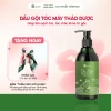 Dầu gội thảo dược Tóc Mây Bồ Kết & Cỏ Mềm - Ngừa rụng, tóc chắc khỏe, 300g