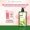 Dầu gội Trái Bơ 350g - Suôn mượt, phục hồi tóc hư tổn, Cỏ mềm, chỉ 261.000đ