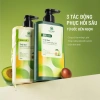 Dầu gội Trái Bơ 350g - Suôn mượt, phục hồi tóc hư tổn, Cỏ mềm, chỉ 261.000đ 2