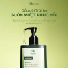 Dầu gội Trái Bơ 350g - Suôn mượt, phục hồi tóc hư tổn, Cỏ mềm, chỉ 261.000đ 3