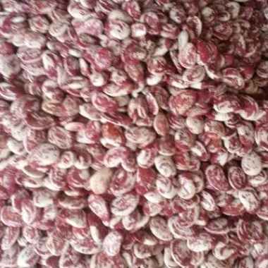 Đậu Ngự Khô Huế Hữu Cơ Sạch - Giảm Giá Còn 45k - Mua Ngay 3