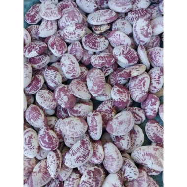 Đậu Ngự Khô Huế Hữu Cơ Sạch - Giảm Giá Còn 45k - Mua Ngay 5