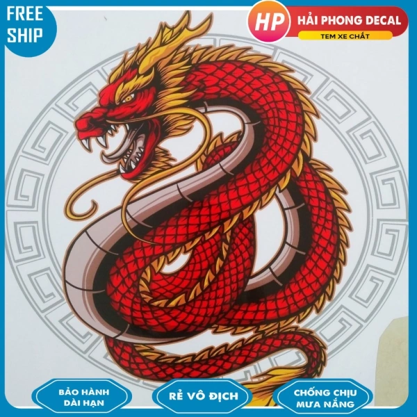 Trải nghiệm cá nhân: Đánh giá độ bền và thẩm mỹ của Decal hình rồng sau 3 tháng sử dụng