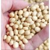 Đỗ Tương, Đậu Tương, Đậu Nành Nhà Trồng 1kg