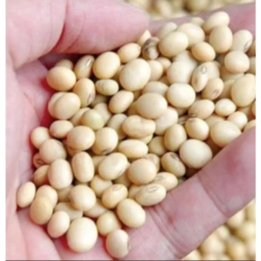 Đỗ Tương, Đậu Tương, Đậu Nành Nhà Trồng 1kg