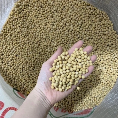 Đỗ Tương, Đậu Tương, Đậu Nành Nhà Trồng 1kg