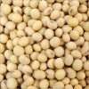 Đỗ Tương, Đậu Tương, Đậu Nành Nhà Trồng 1kg 4