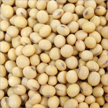 Đỗ Tương, Đậu Tương, Đậu Nành Nhà Trồng 1kg
