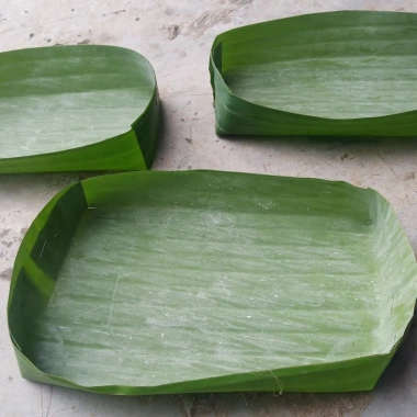 Duy Băng Vải Hình Chuỗi Lá 1M - Giá Cực Sốt 4000Đ (Tiết Kiệm 1080Đ)
