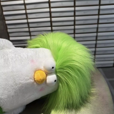 Gấu bông gà vô tri siêu cute giảm 21% còn 89000đ - Mua ngay gấu bông giá tốt