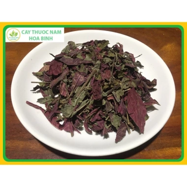 Giá buôn 500g Lá Đơn Đỏ Khô Sạch Trị Mẩn Ngứa - Chỉ 29.000đ, Đánh Giá Cao