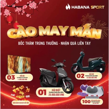 [HABANA SPORT] Máy Tập Bụng Thông Minh 4 Bánh Đốt Mỡ Thế Hệ Mới 2.026 2